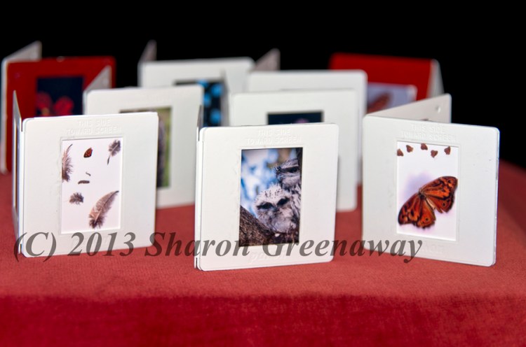 A Little bit of Country Victoria