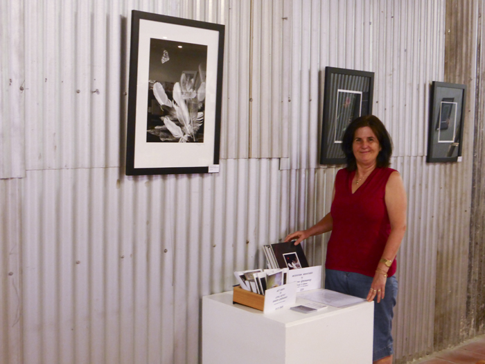 MICROCOSM AT BENDIGO POTTERY