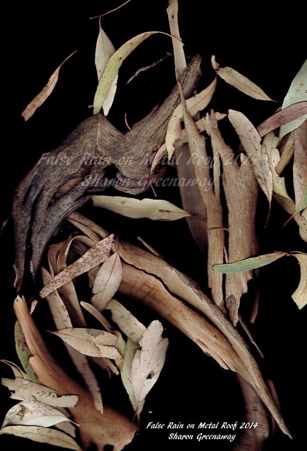False Rain