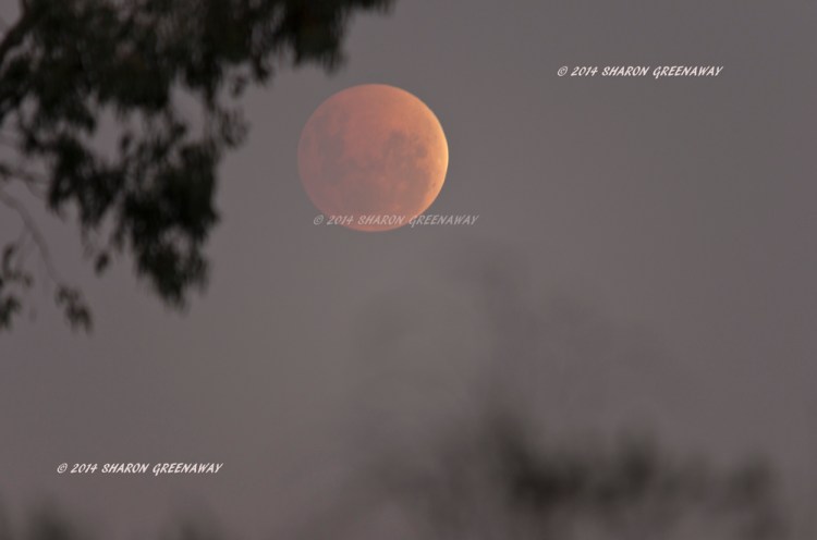 Moon eclipse from Central Victoria