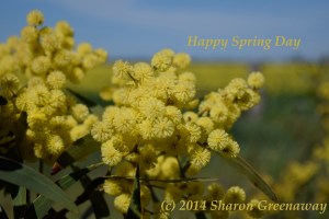 This Sunday drive took us to Lockington, a small country town situated in