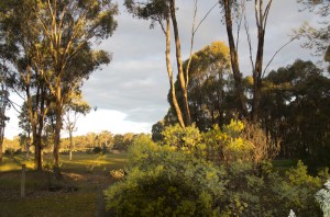 LOOKING_TOWARDS_DAM1909142839