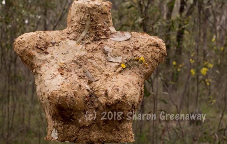 AUSTRALIAN FLORA BENDIGO