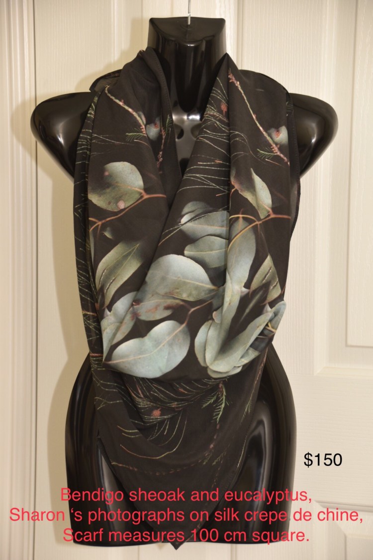 image_564296440674821